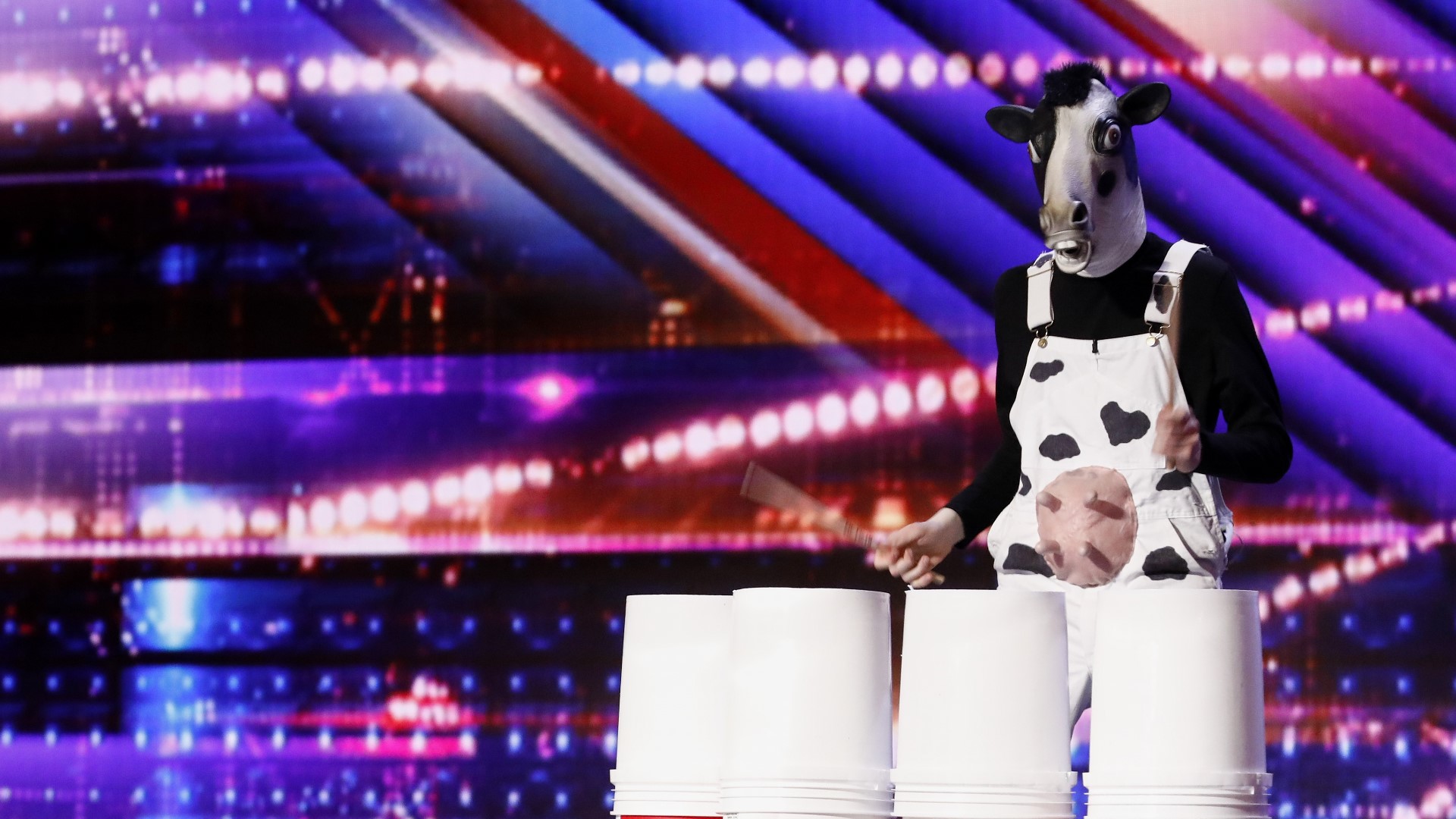 Mr. Moo Shakes drums in a cow outfit to maintain his secret identity. #k5evening