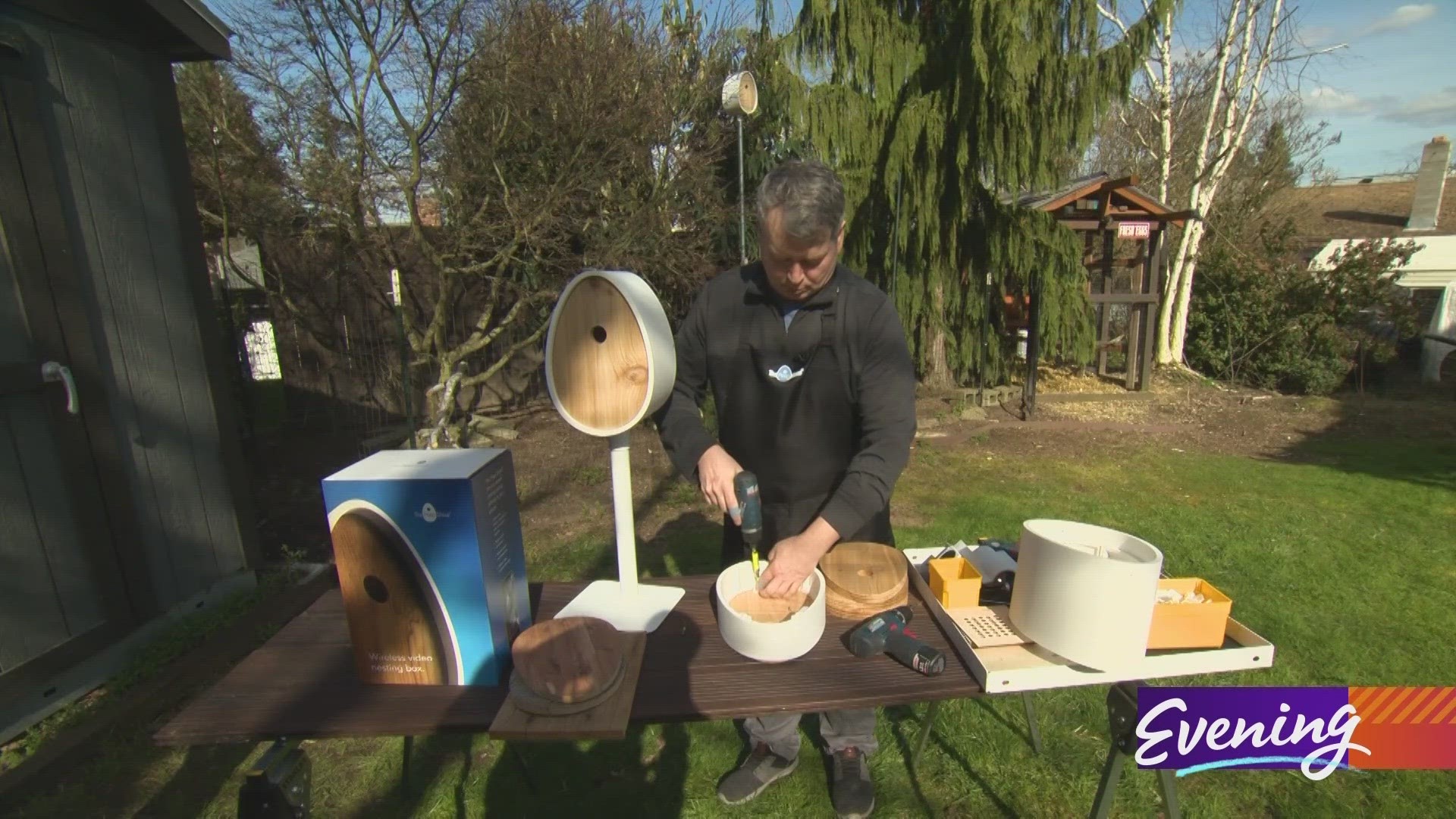 Feathered friends become family with this Seattle man's invention. #k5evening