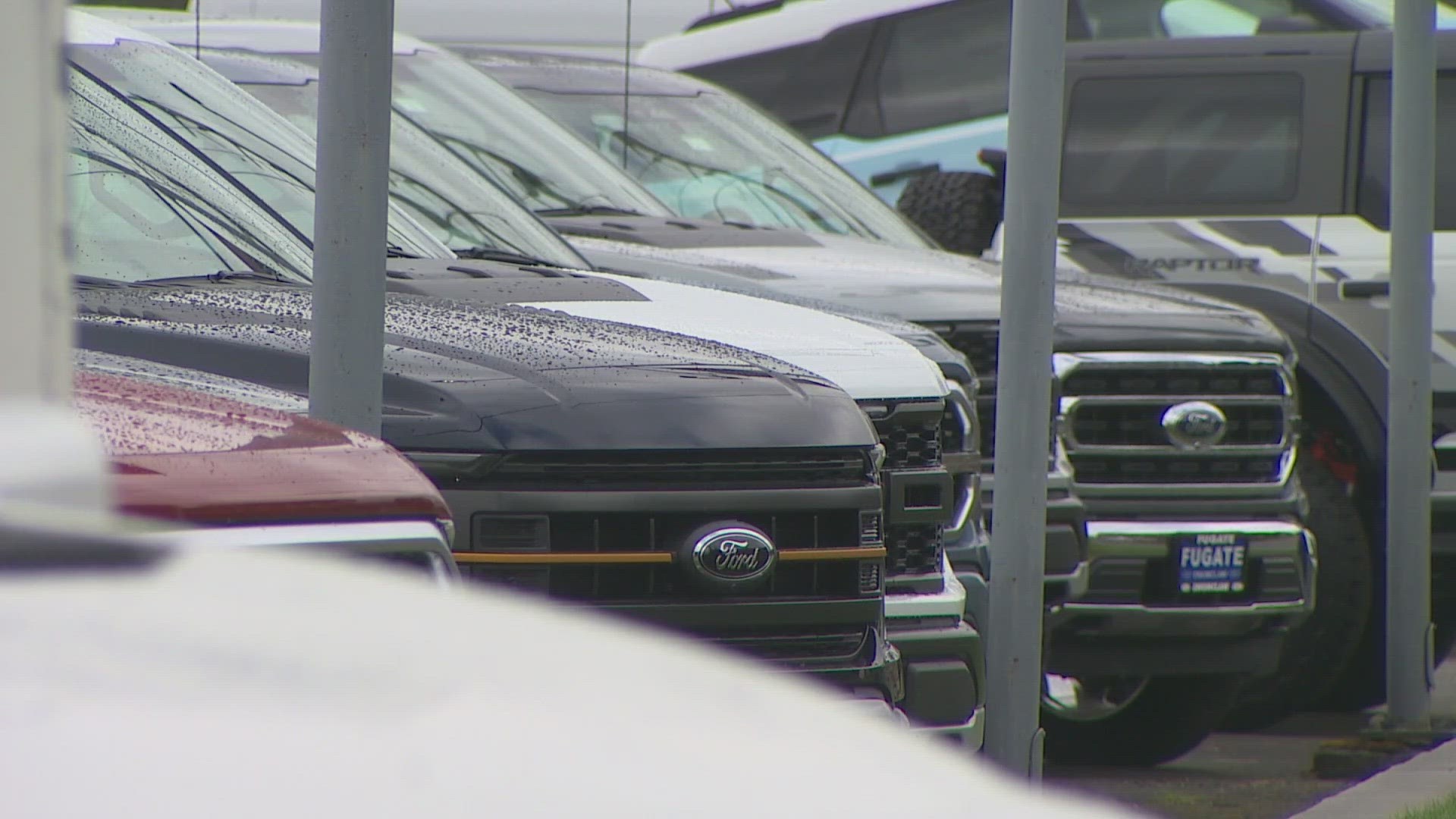 More than 24,000 vehicles have been reported stolen statewide so far this year, according to the Puget Sound Auto Theft Task Force.