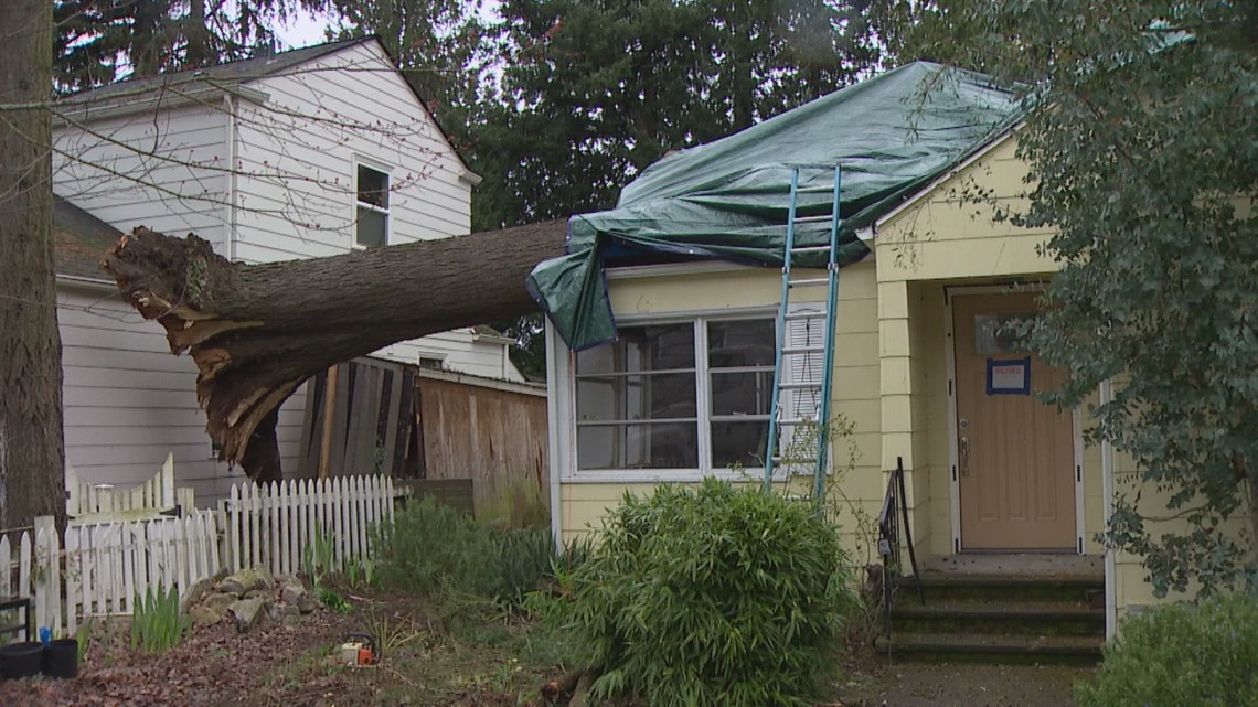 Windstorm topples massive tree onto North Seattle home, touching three properties