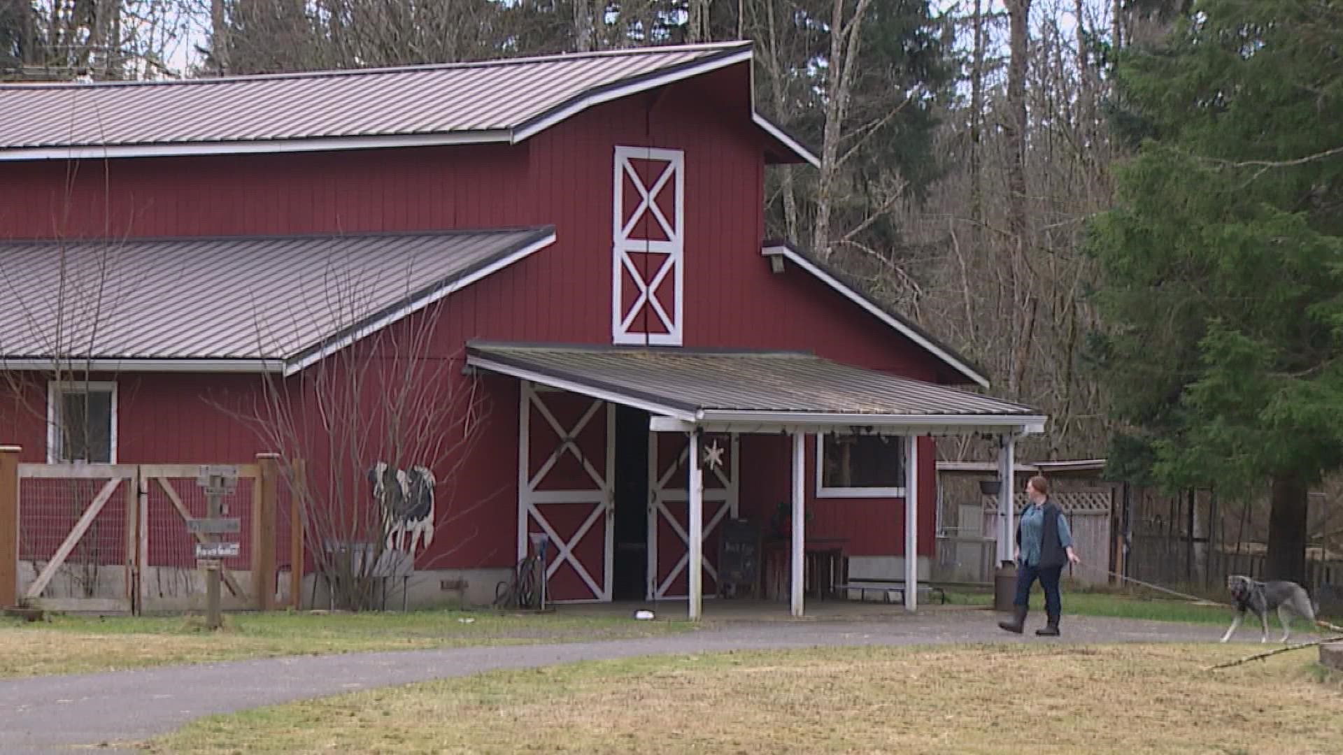 Fewer eggs and higher prices have been a growing trend in western Washington as a result of avian flu.