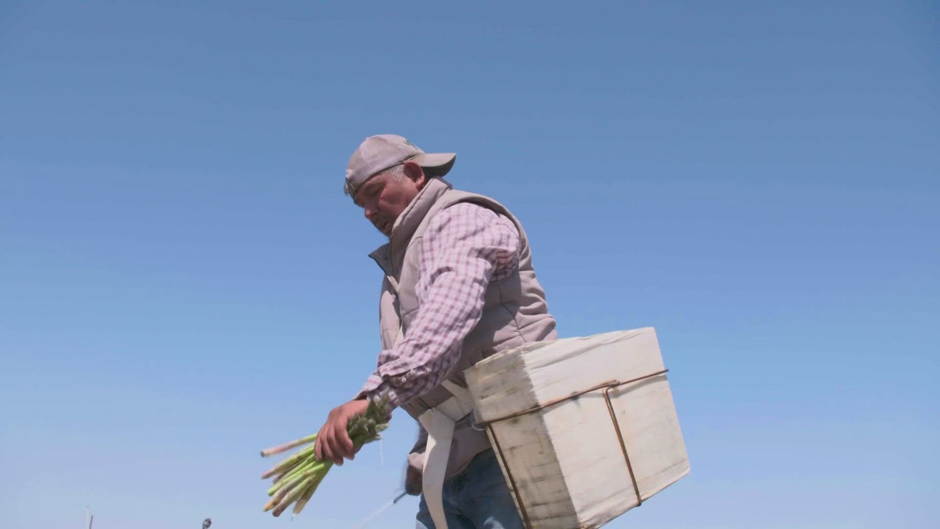 The immigrant community makes up a majority of the agricultural workforce in Washington state.