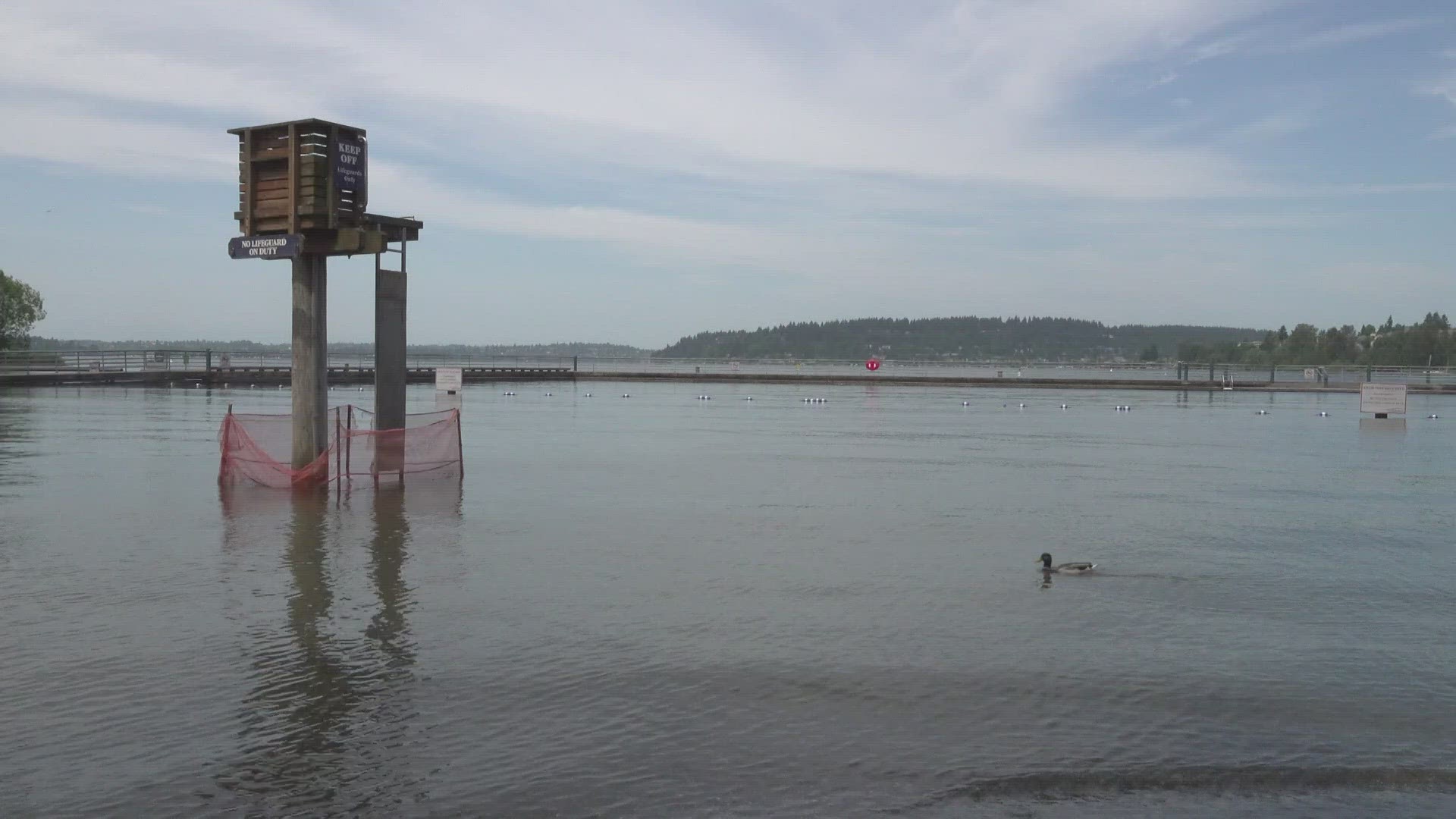 Public Health - Seattle and King County says the change uses more real-time data to make decisions about beaches, in hopes of keeping people safe.