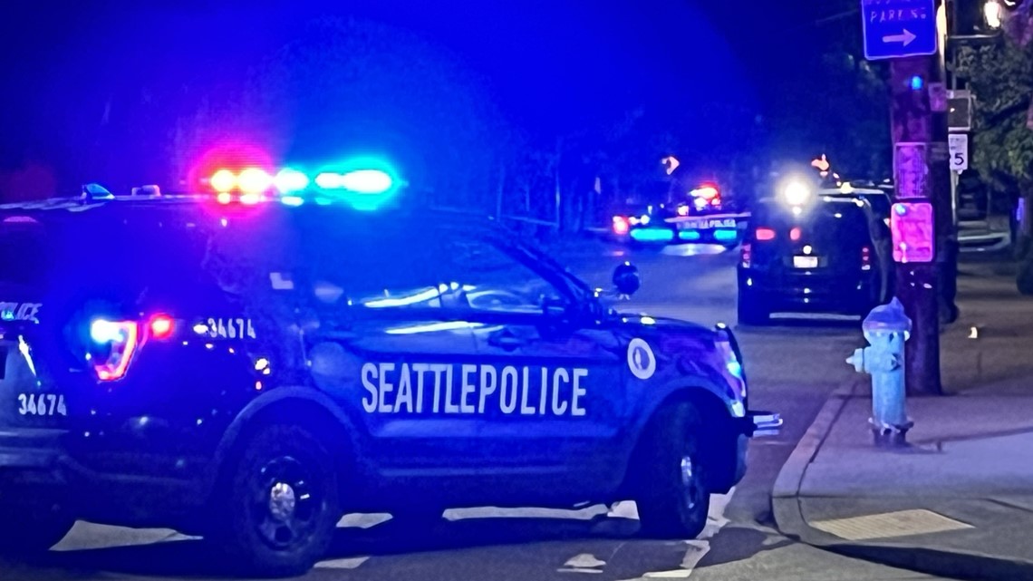 Seattle fatal shooting in South Park under investigation | king5.com