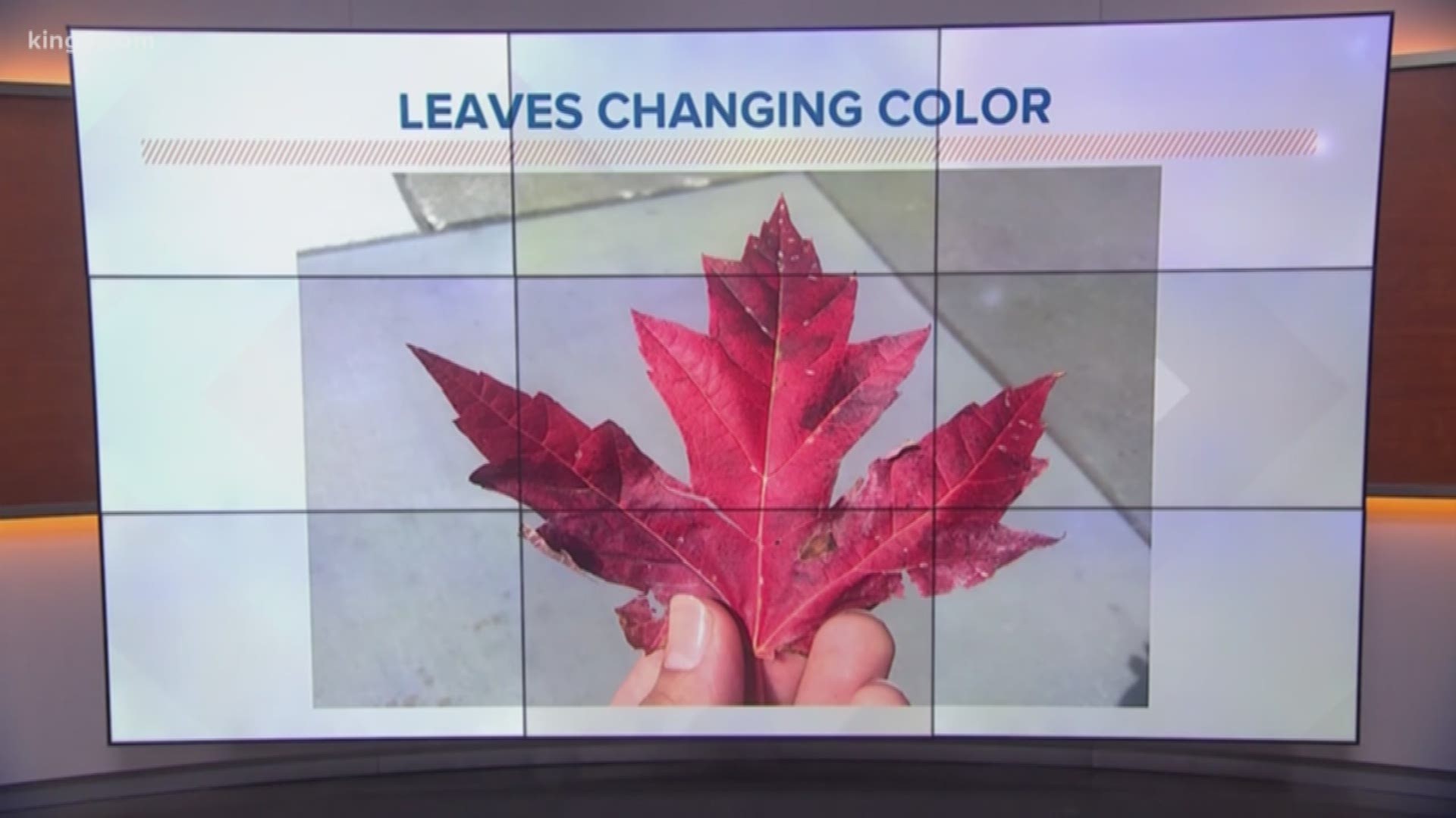 You may have already noticed the changing of the leaves. But Washington has weeks of summer left. KING 5 Meteorologist Ben Dery explains.