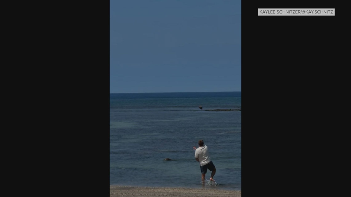 Covington tourist accused of throwing rock at endangered seal to appear in Hawaii federal court Wednesday