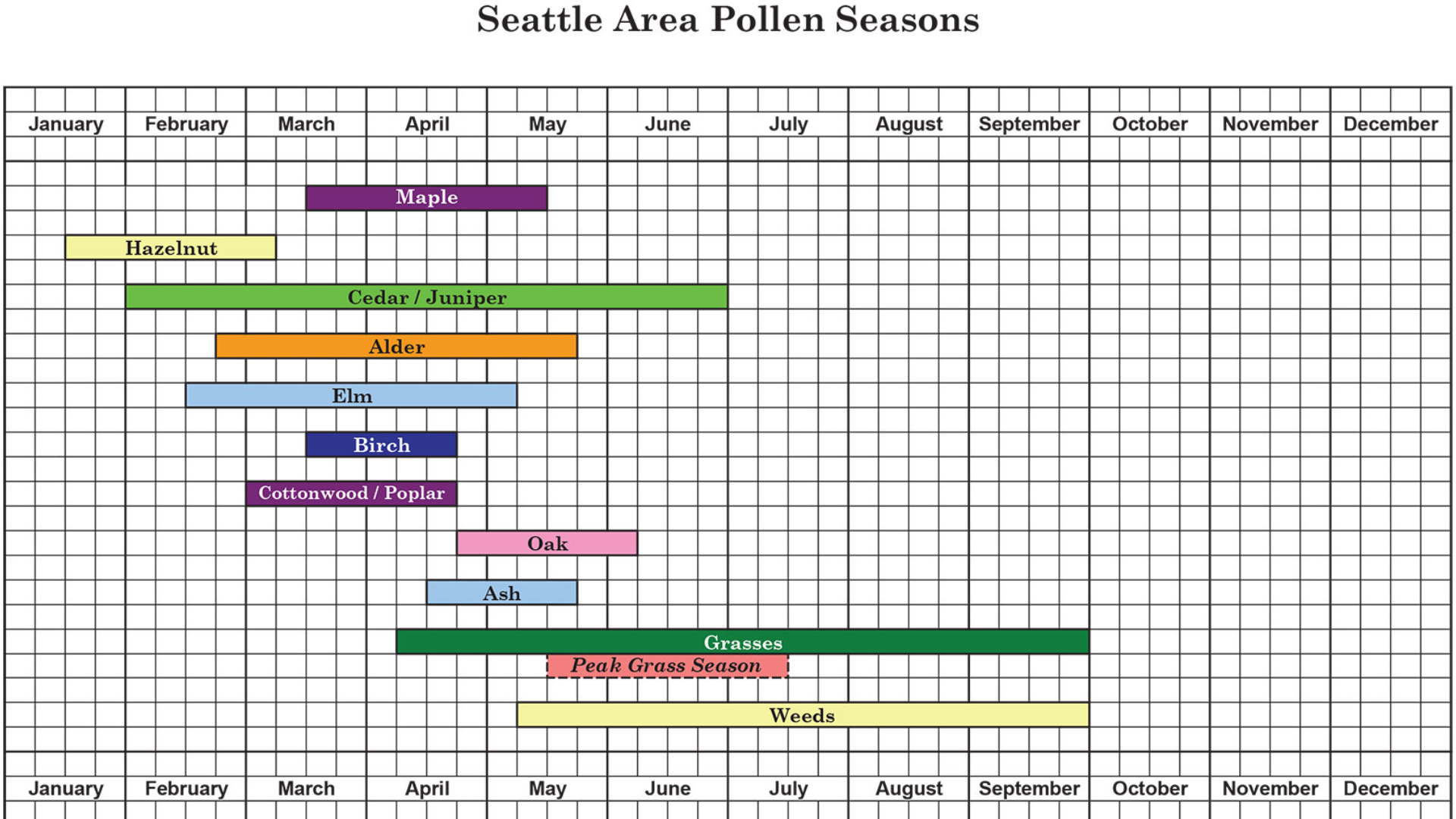 Allergy season begins in Seattle as tree pollen ramps up