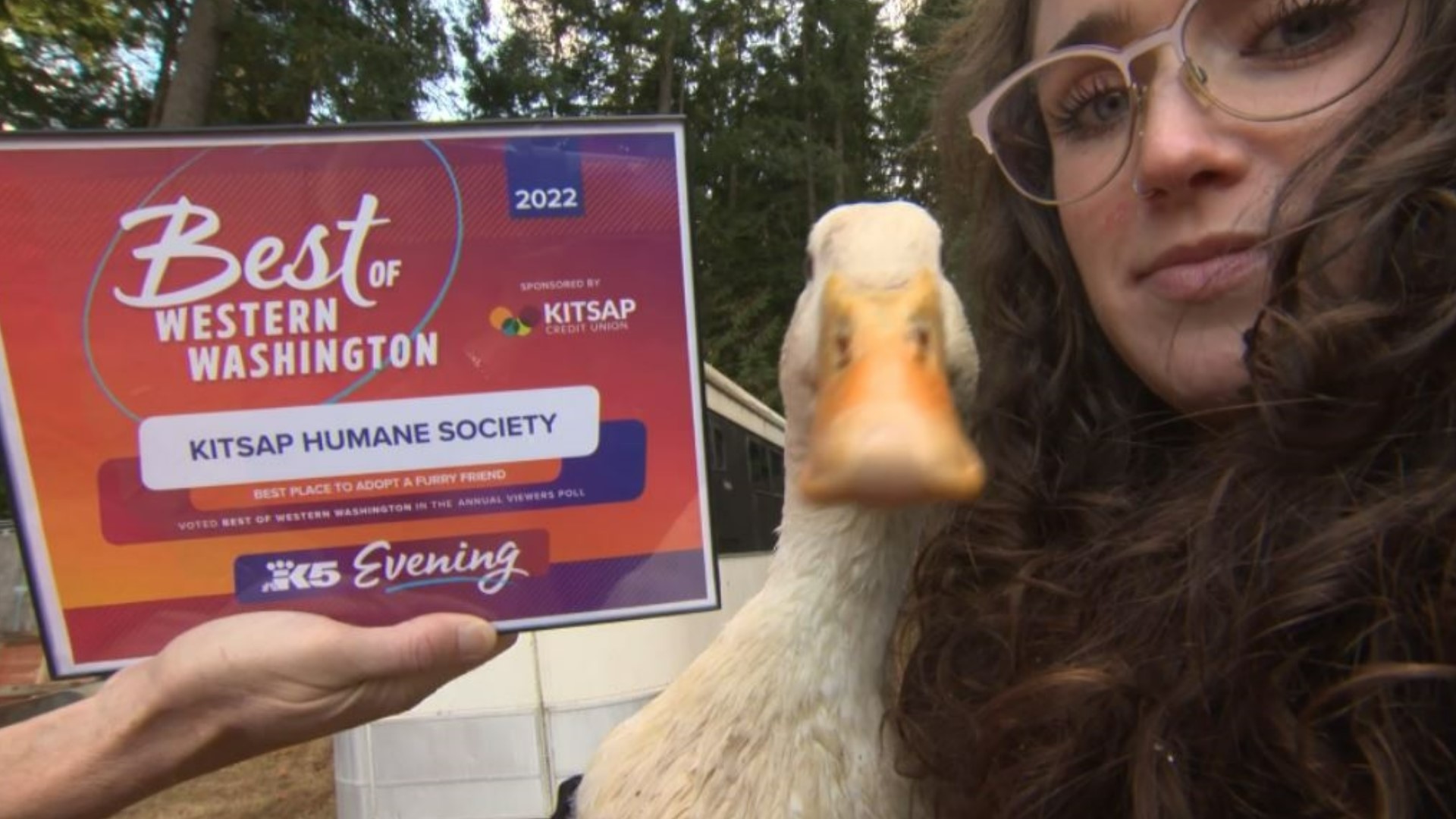 Kitsap Humane Society wins Best Place to Adopt a Furry Friend