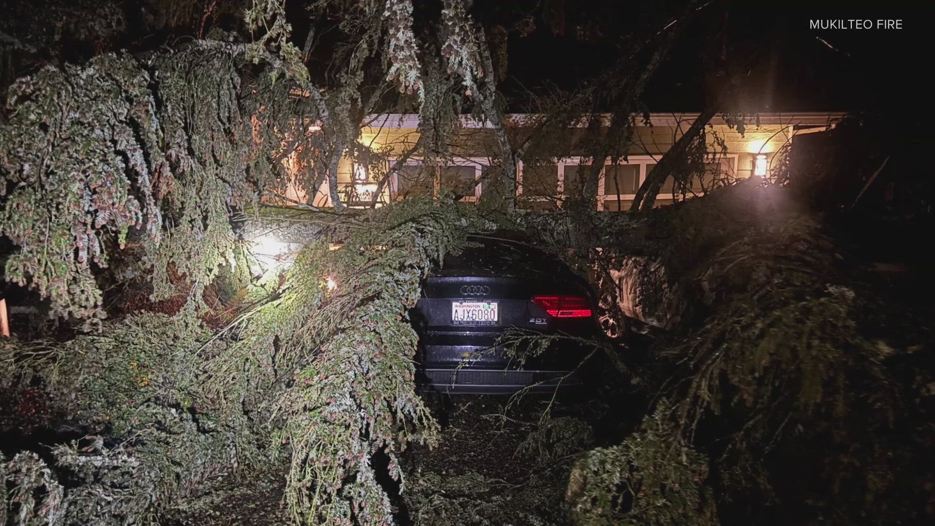 Downed trees took out power lines, crashed into homes and blocked roads after Tuesday night's bomb cyclone wind storm