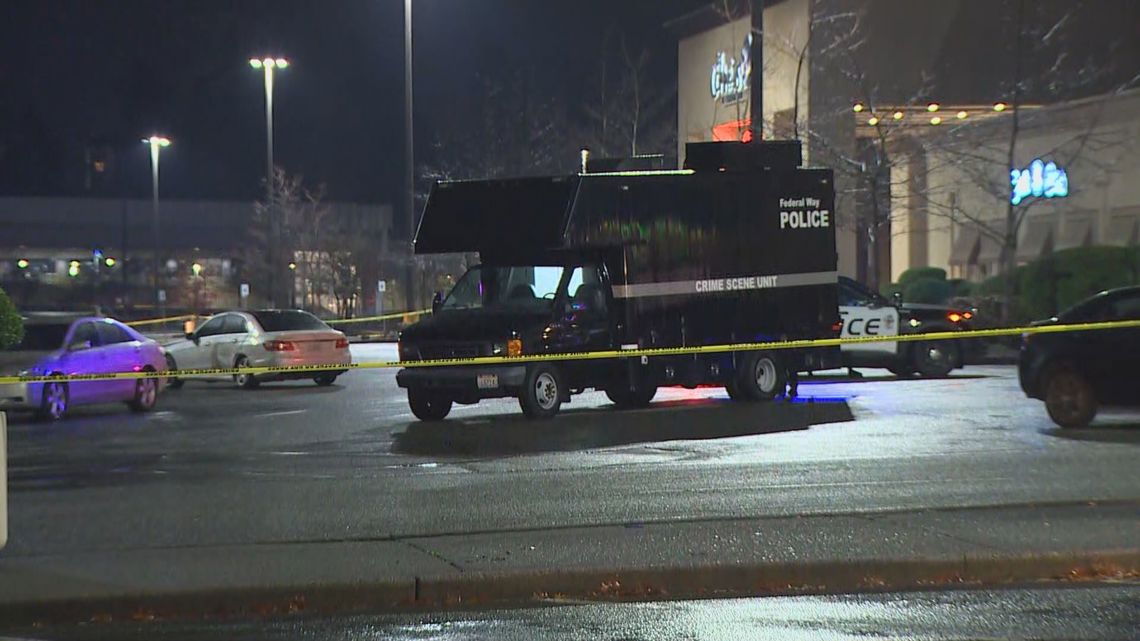 Brothers accused of chasing down, killing man in Federal Way who had ...