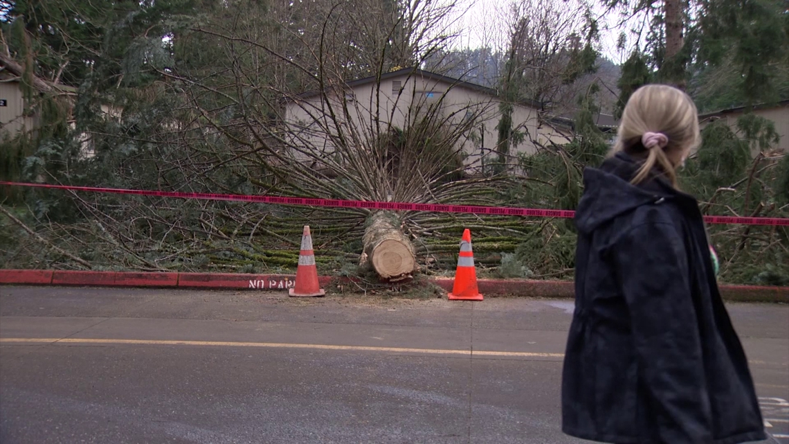 Issaquah superintendent reflects on bomb cyclone damage to schools, recovery