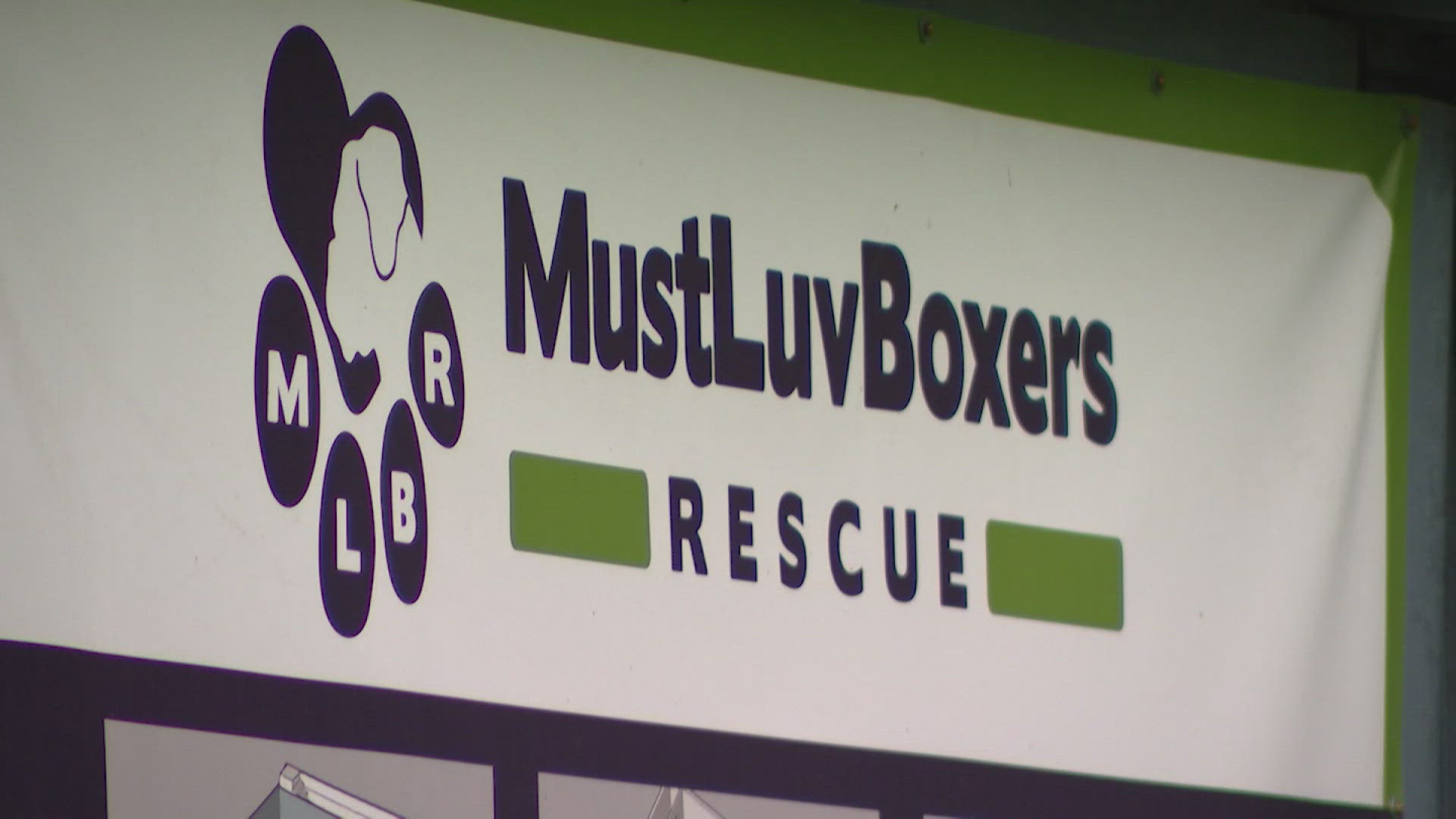 MustLuvBoxers Rescue has until the end of the year to raise $250,000 or move from its current location.