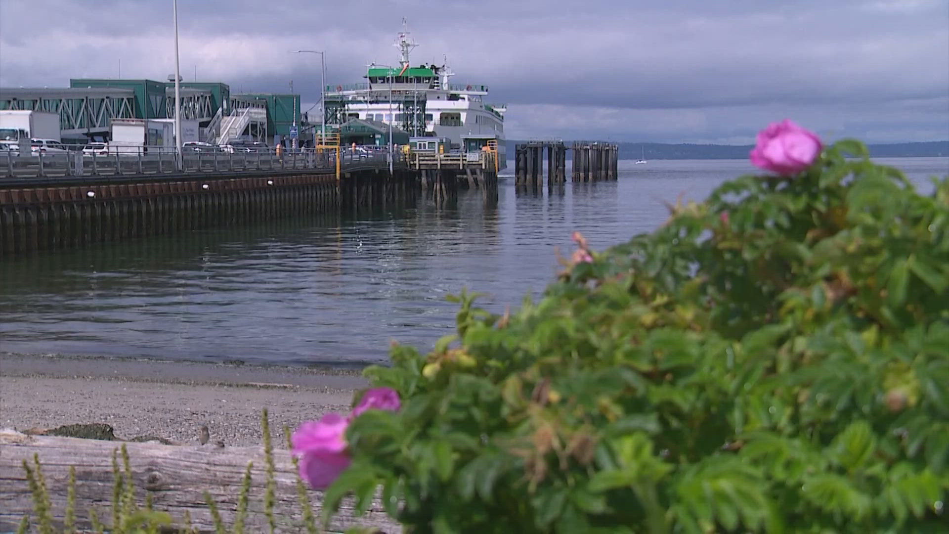 The longer wait times are due to a lack of available ferries.