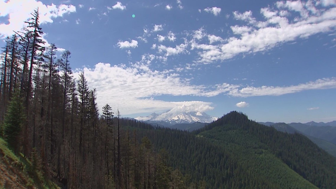 What drives big wildfires in western Washington? This meteorological phenomenon is a factor - Vimarsana News