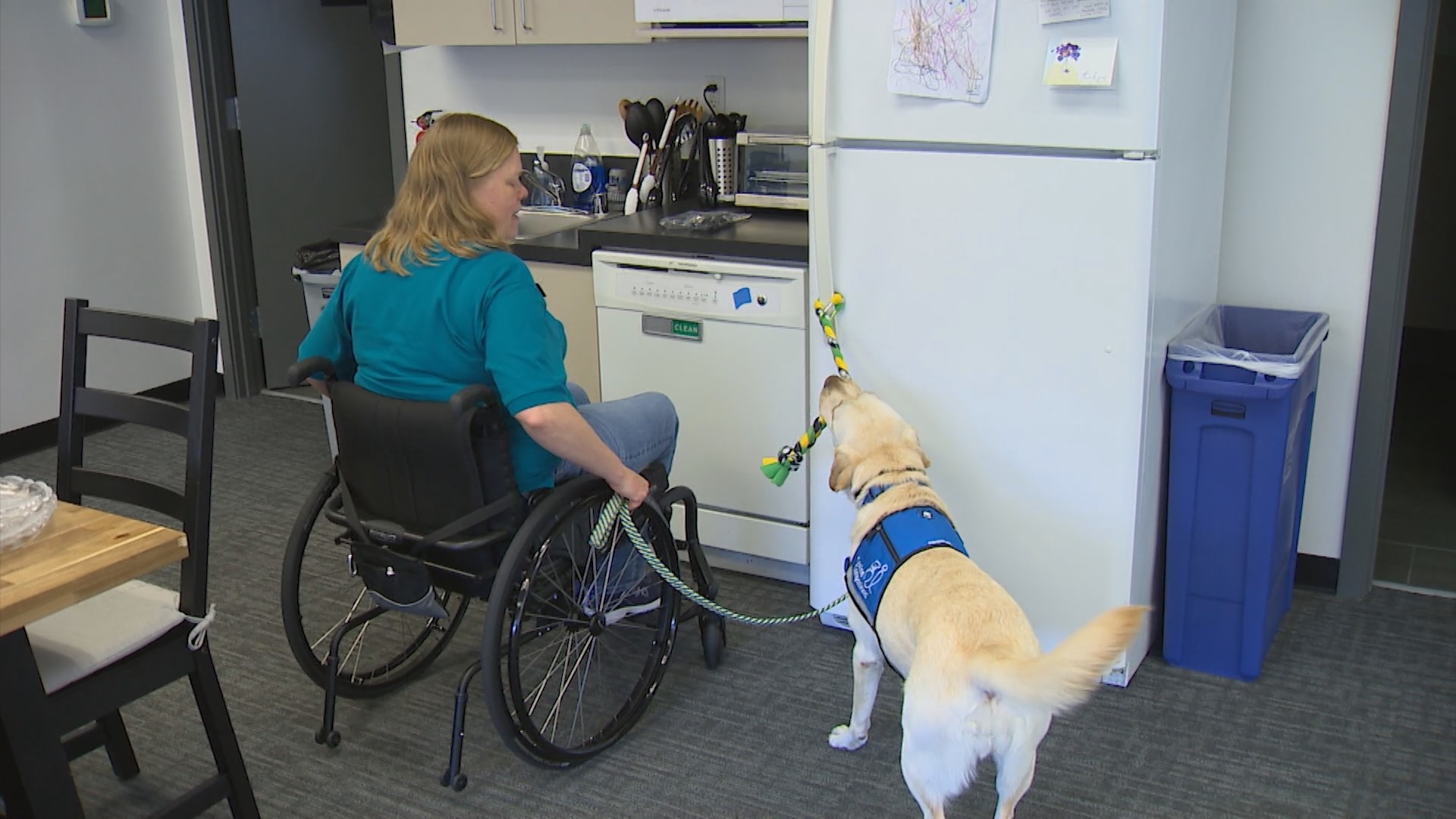 Toffee is showing off some skills that help people live independently, which she learned with Canine Companions