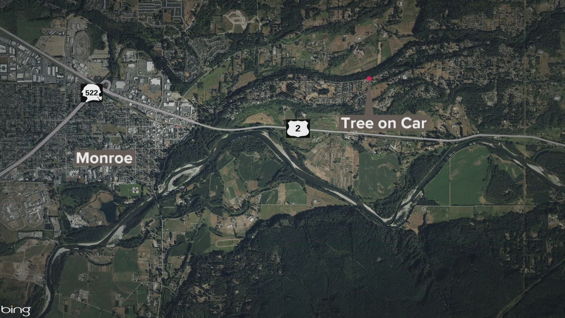1 dead after tree falls on car near Monroe | king5.com
