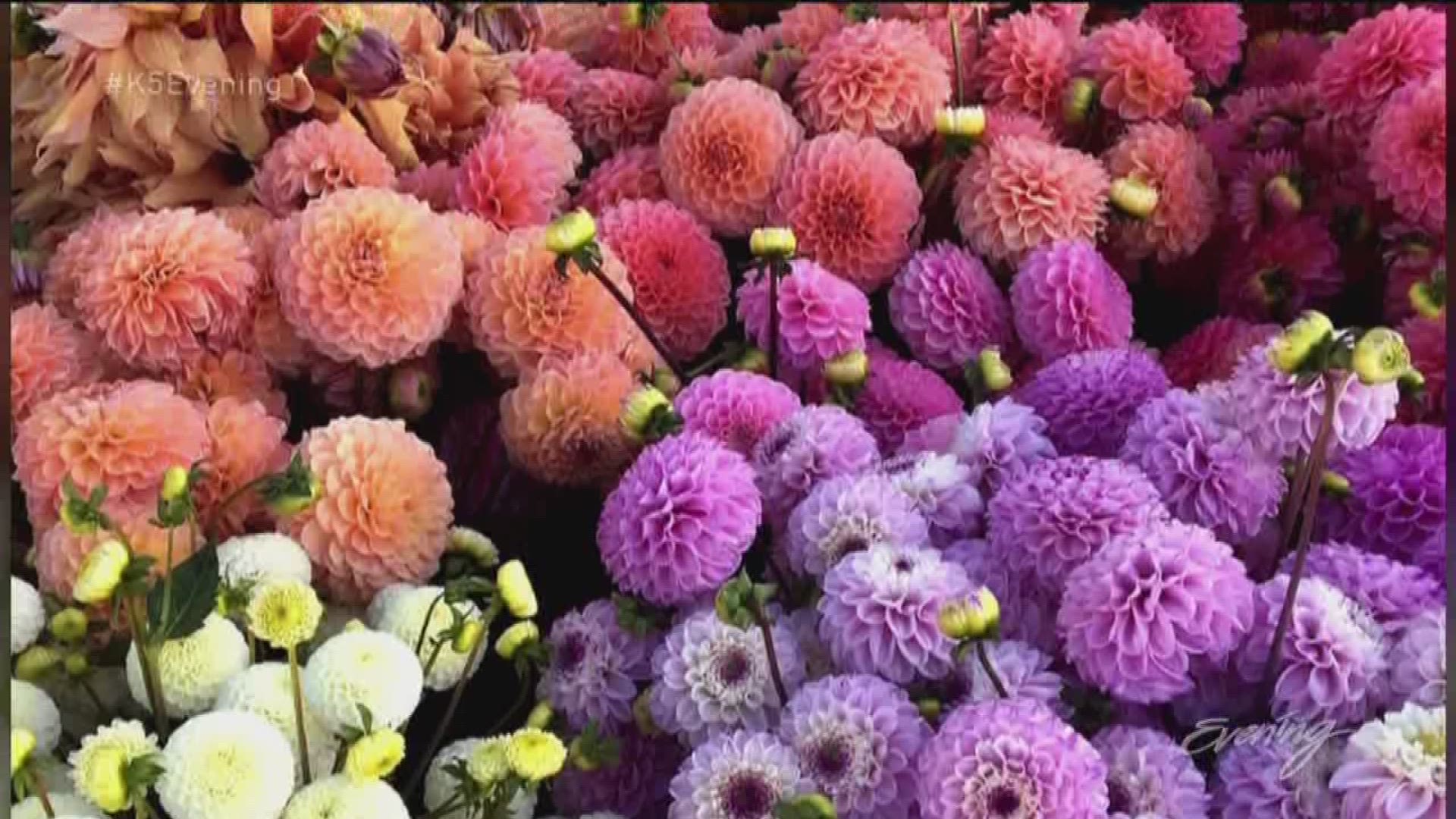 Business is Blooming for Floret Flower