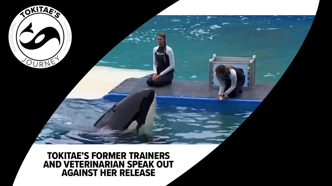 'She is home': Famous orca’s former trainers & vet oppose plans to release her