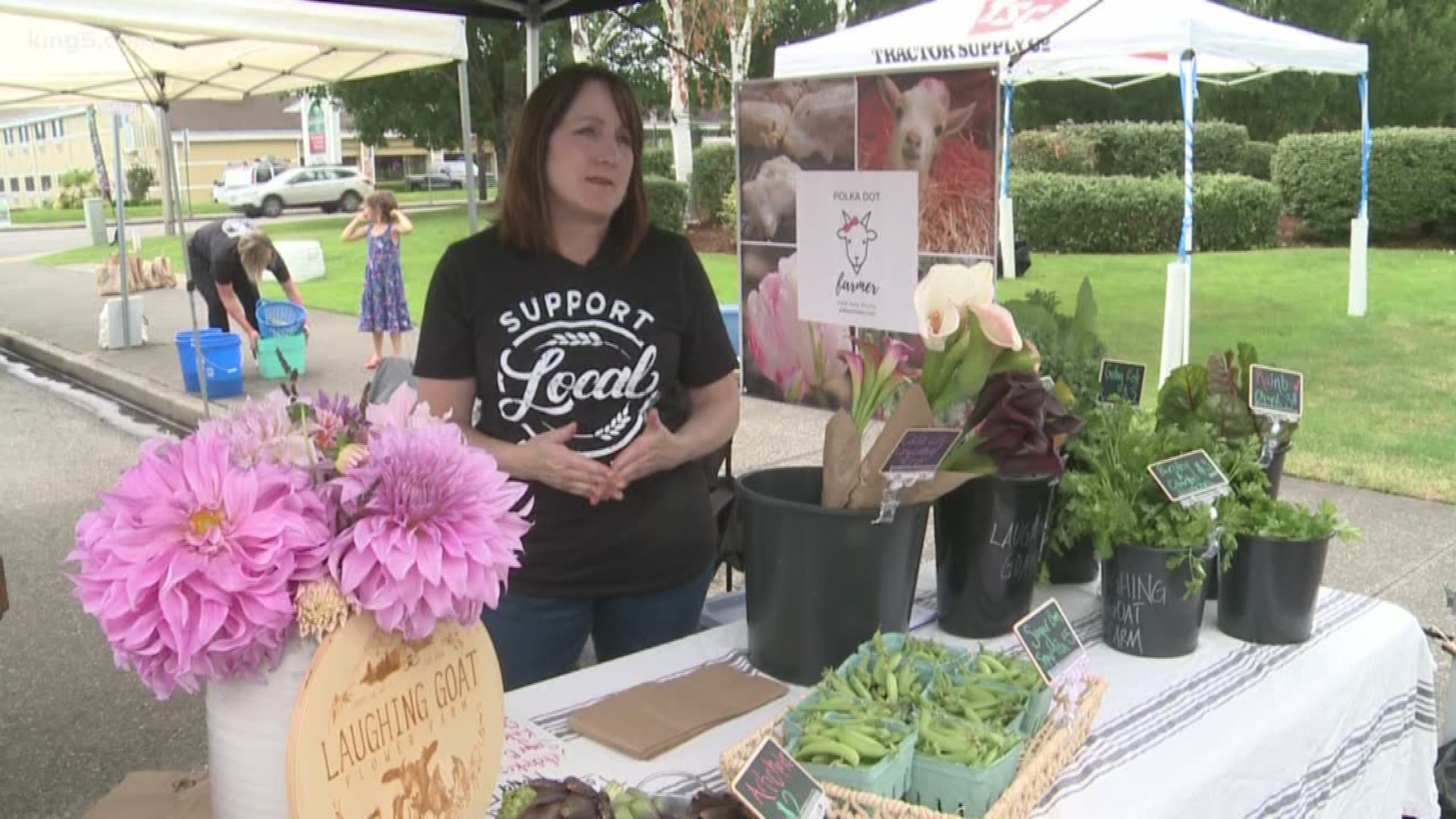 A farmer's market has launched in Enumclaw to help save local food in King County. KING 5's Alison Morrow reports.