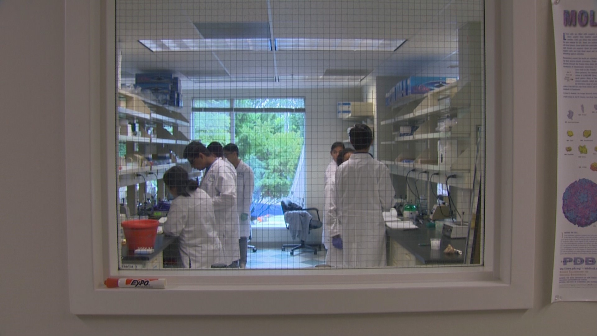 Fred Hutch program inspires teens interested in science | king5.com