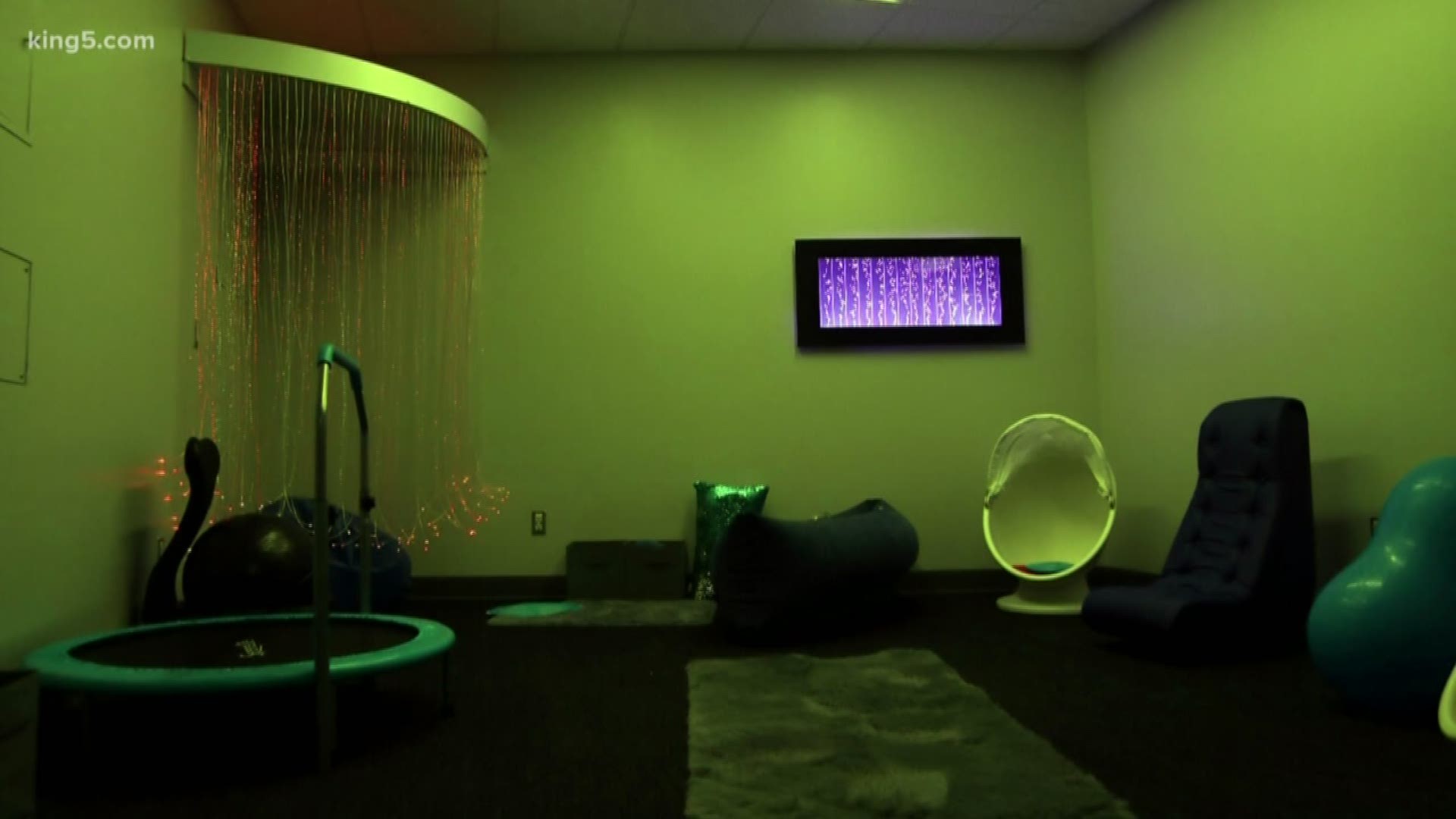 A sensory room is being offered at CenturyLink Field this season so fans with sensory challenges can enjoy watching the Seattle Seahawks.