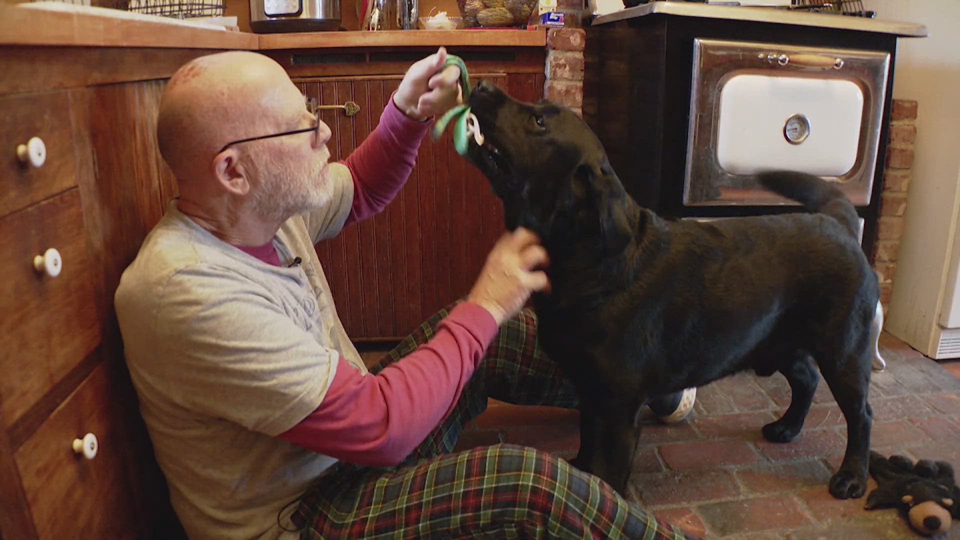 The Whidbey Island family is pushing for changes to medicines that can be harmful to dogs.