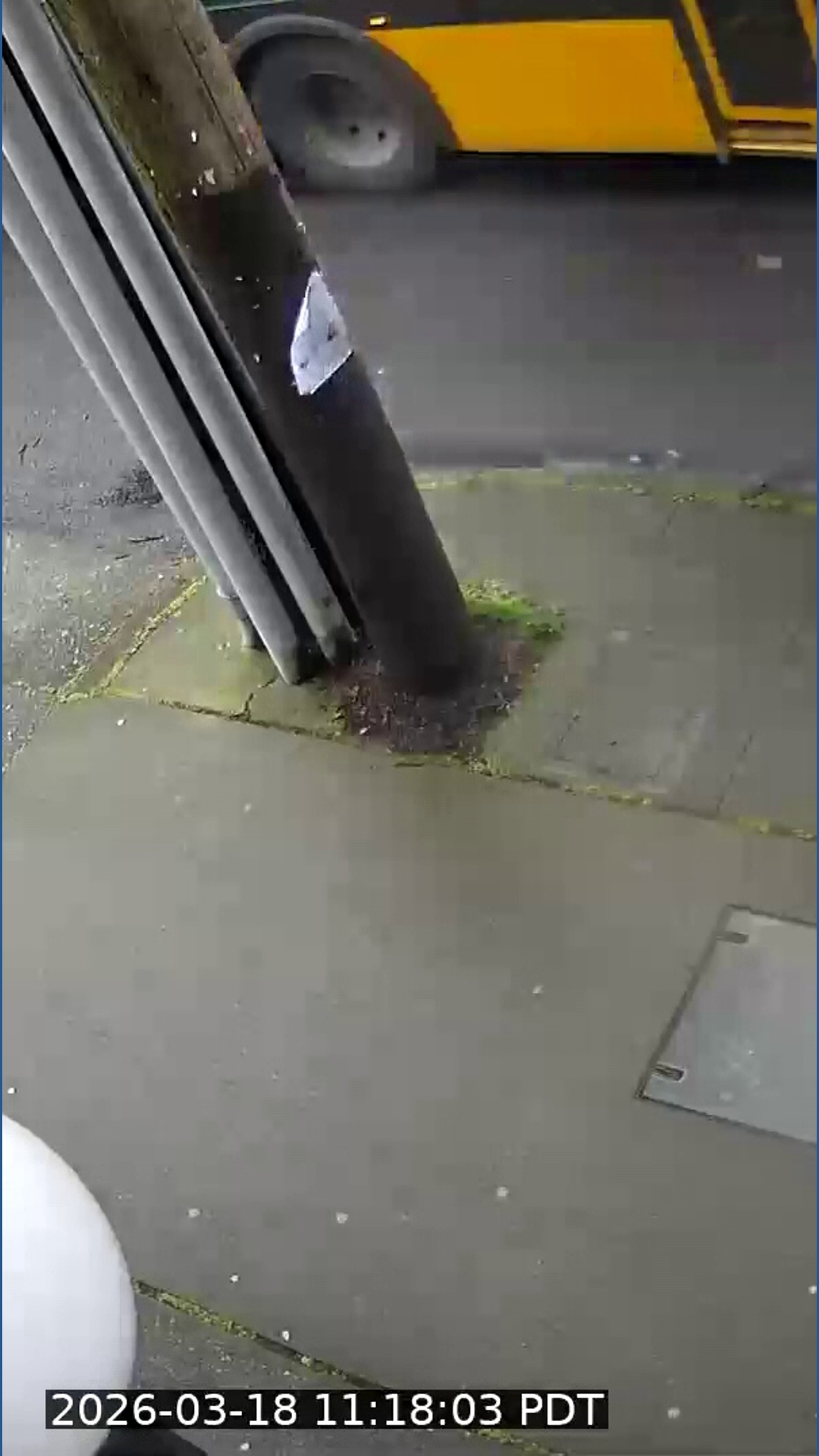 King County Metro bus crashes into cars | New video | king5.com