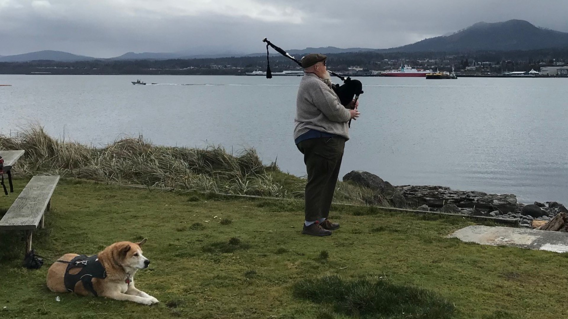 Erik Evans is the Parking Lot Piper bringing people together. 🎶 #k5evening