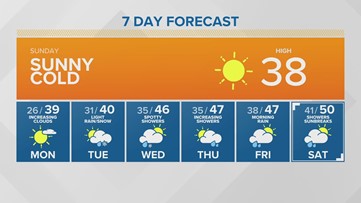 Western Washington Forecast