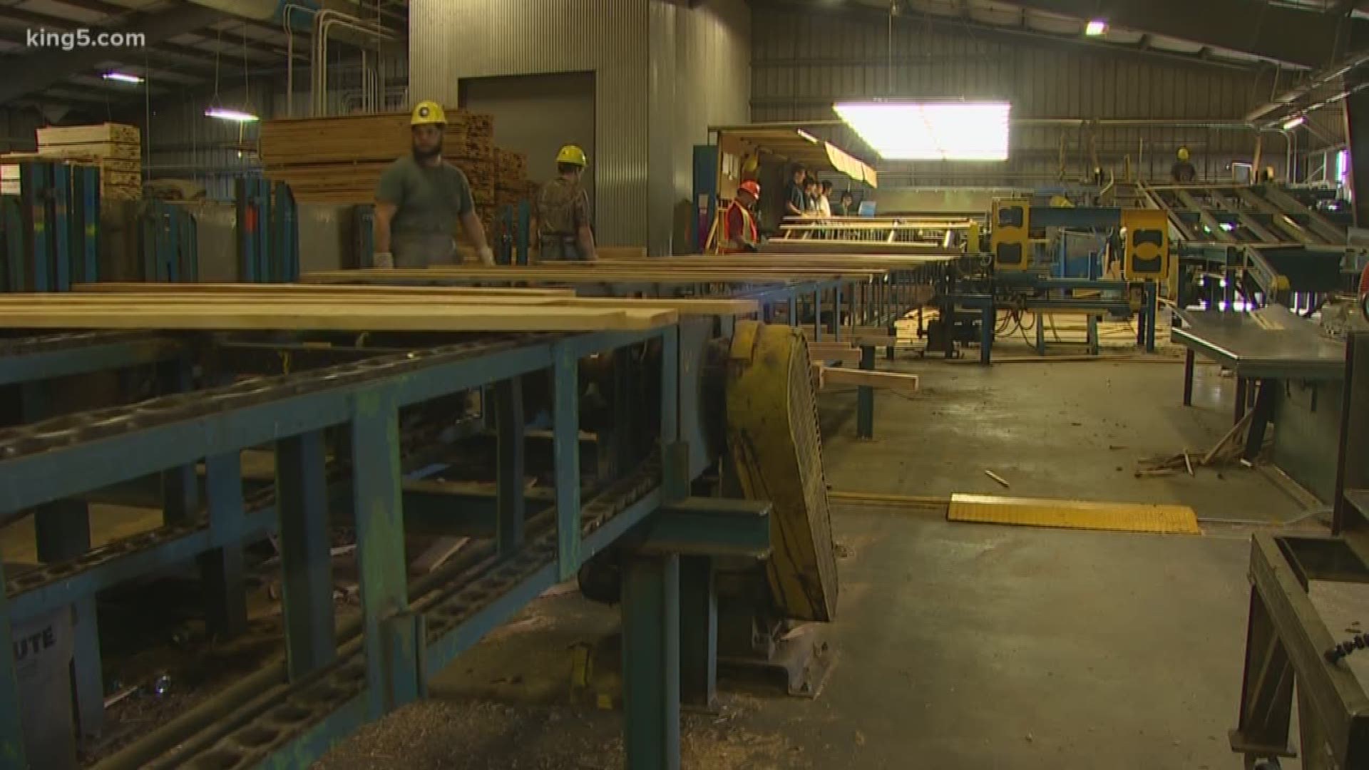 About 70 people at the Northwest Hardwoods mill in Mount Vernon are losing their jobs, they say because of President Trump’s ongoing economic battle with China.