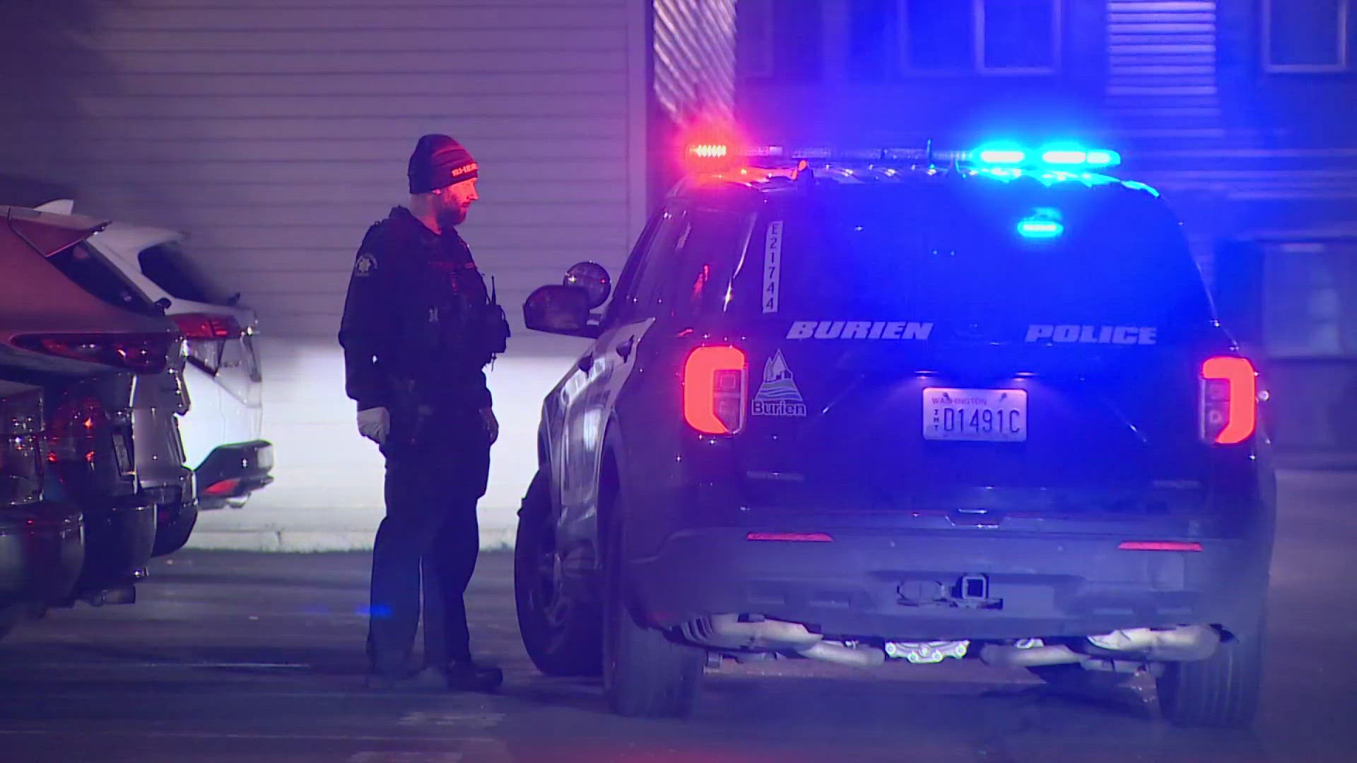 A woman was stabbed in the leg while walking her dog Monday morning in Skyway