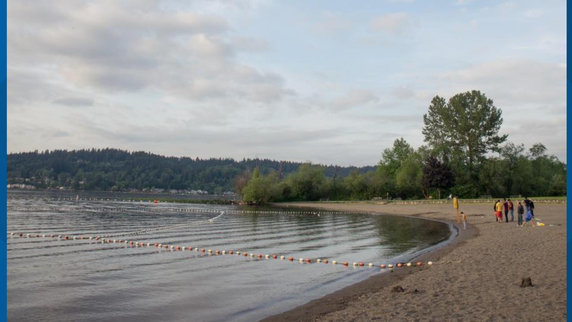 Teenage girl drowns at Lake Sammamish State Park | king5.com