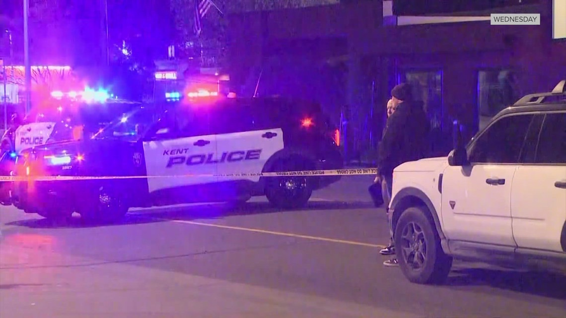Police arrest suspect in deadly Kent stabbing | king5.com