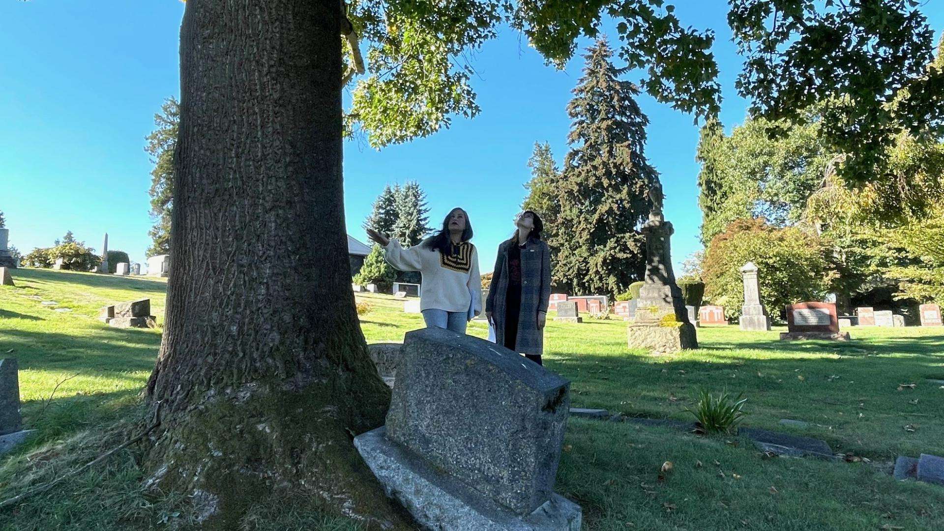 Vanishing Seattle's Lake View Cemetery walk is a popular October tour. #k5evening