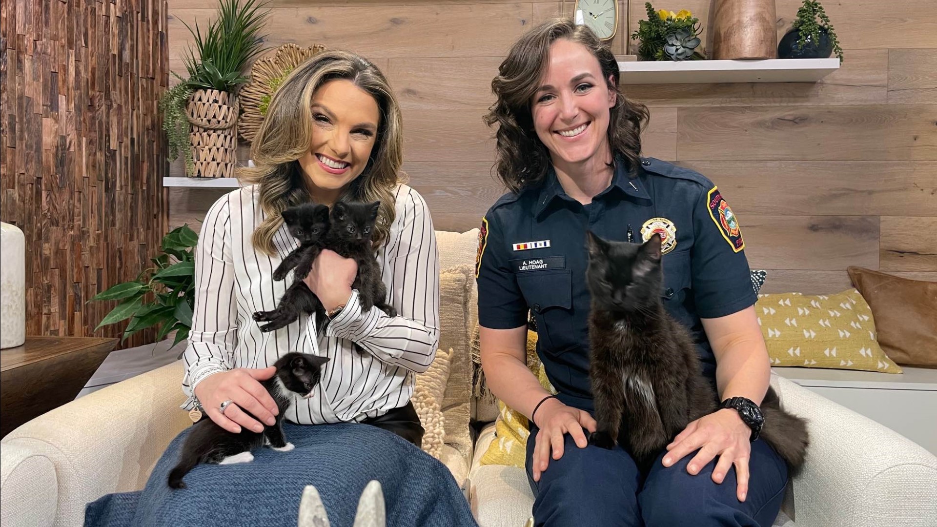 South King Fire and Rescue found themselves in charge of newborn kittens after they were left at Station 65. #newdaynw