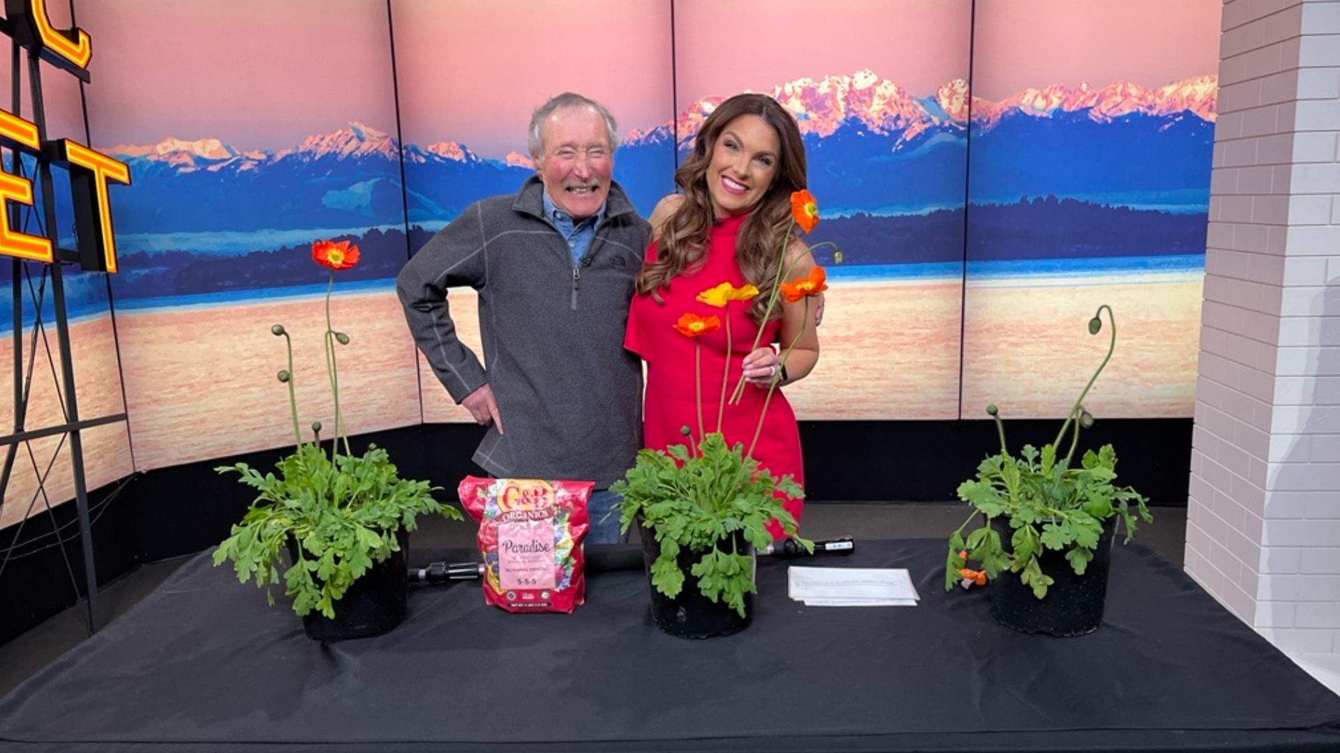 Master Gardener Ciscoe Morris says you can sow them in mid-fall for lots of spring blooms. #newdaynw