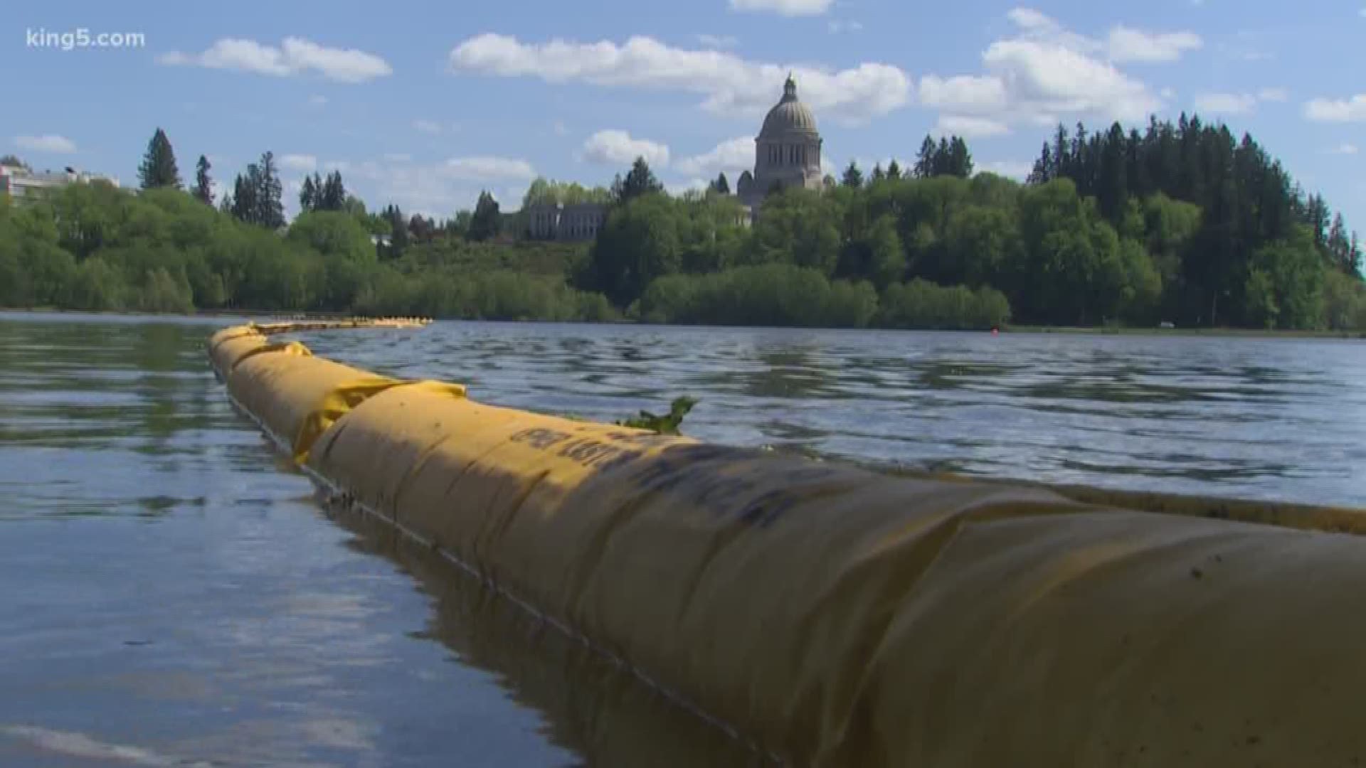 Ecology cleanup crews continue to work by boat, boom, and by hand cleaning up an oil spill from the old Olympia Brewery. KING 5's Drew Mikkelsen reports.