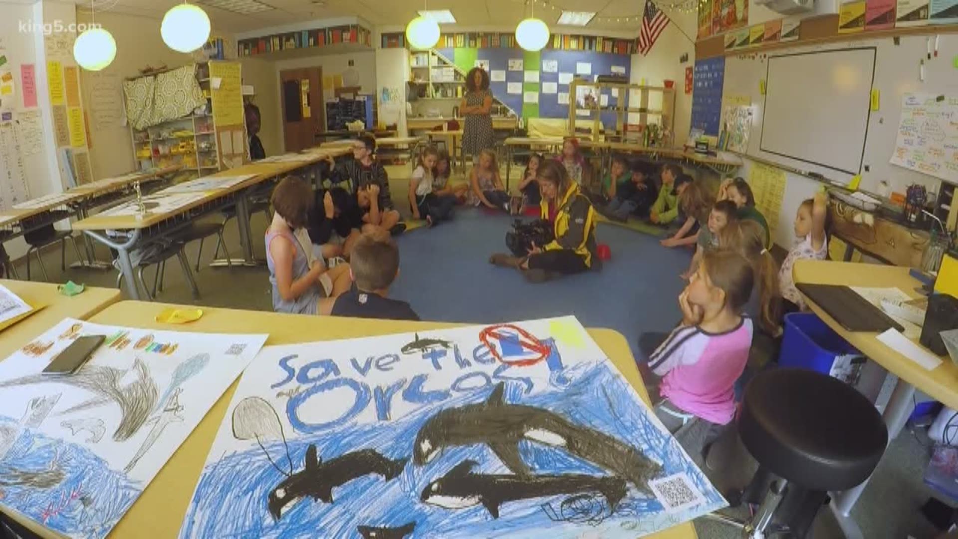 A group of third-graders at a Vashon Island elementary school are raising awareness about the struggling Southern Resident killer whales and the salmon they depend on. KING 5 Environmental Reporter Alison Morrow reports.