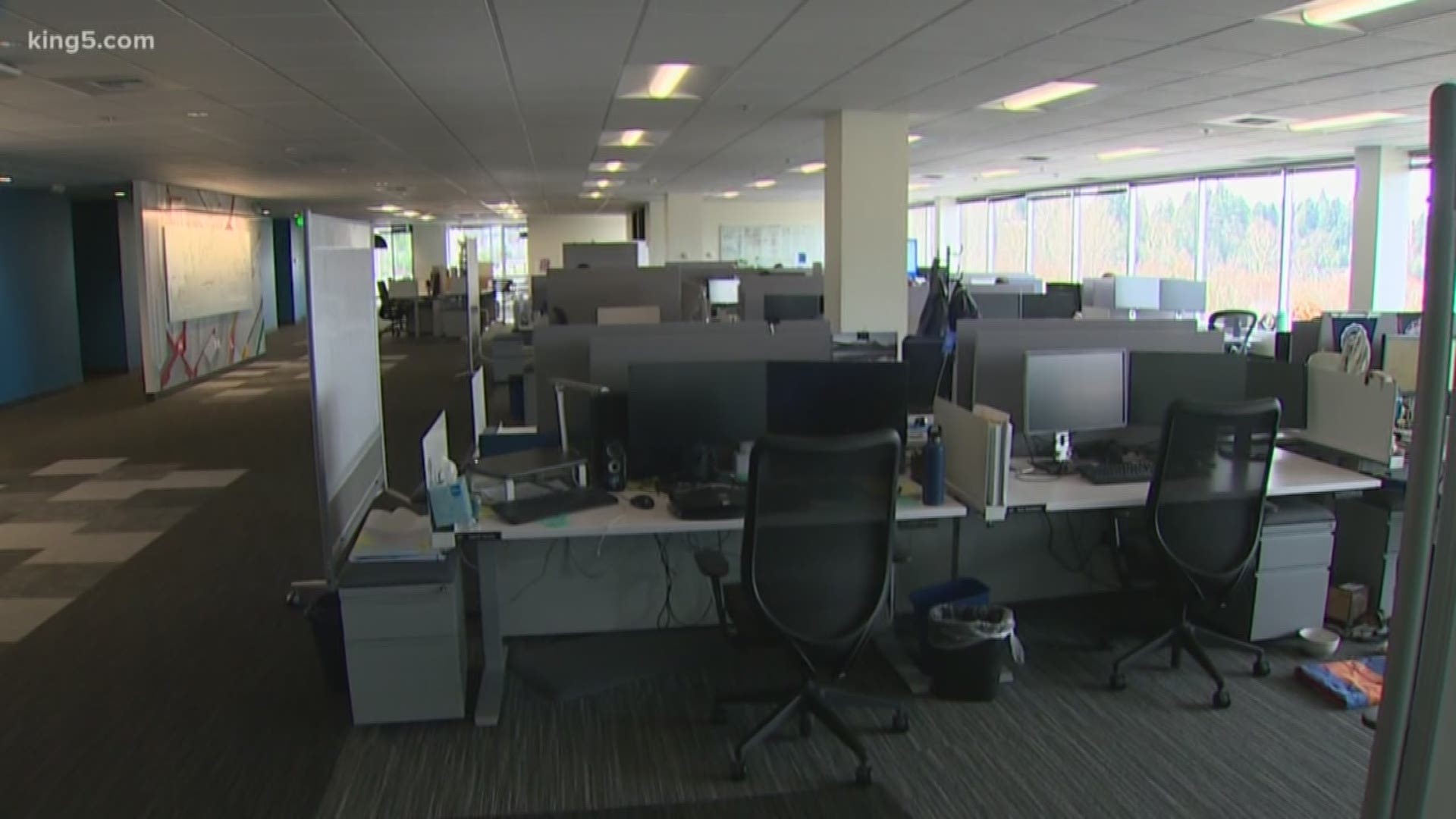 More companies in and around King County are urging employees to work remotely due to concerns about the coronavirus.