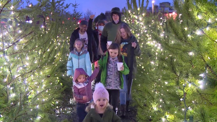 Record-breaking Christmas tree maze in small Northwest town