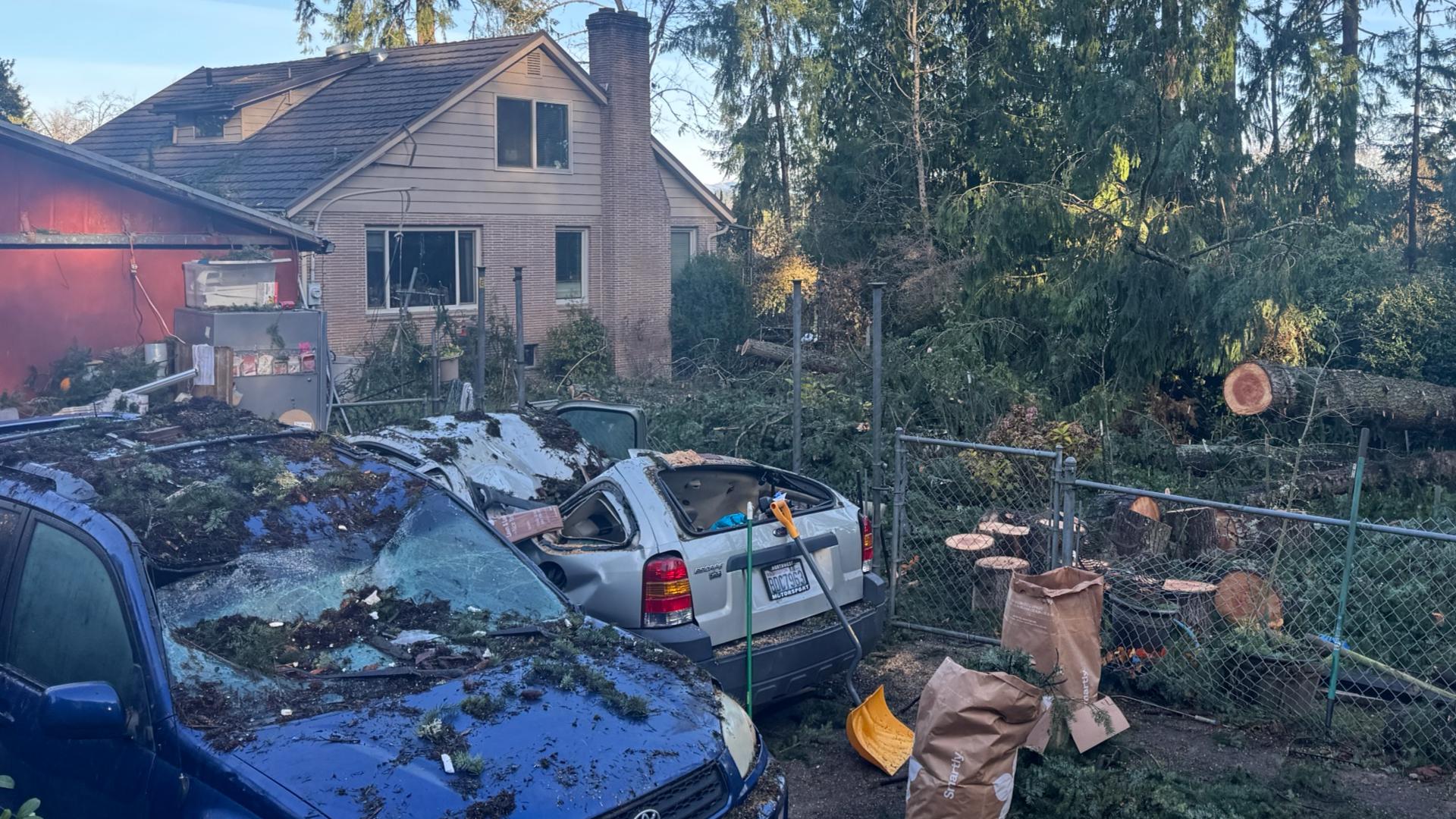 The Keeney family is still picking up the pieces after dozens of trees fell across their Bellevue property