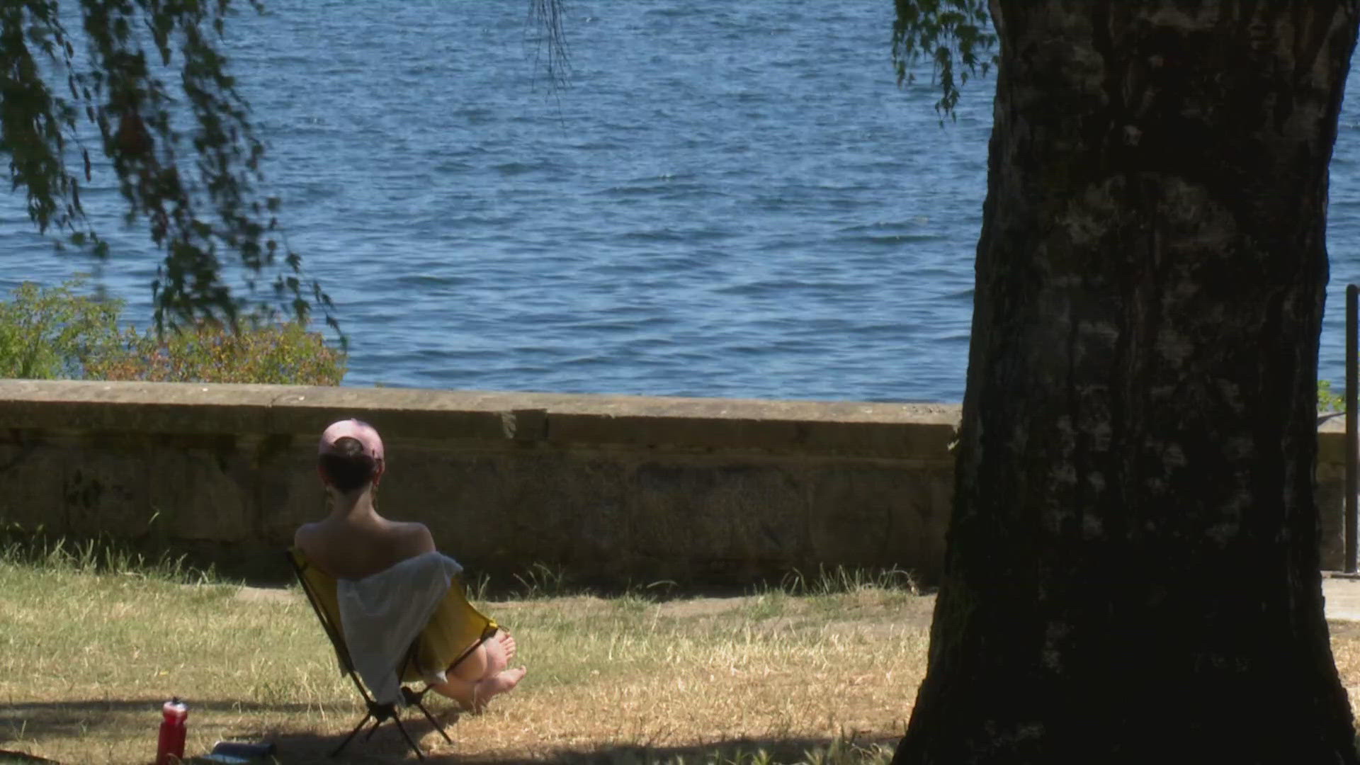A judge ordered Seattle to address nudity and sexual acts at Denny Blaine Park within two weeks amid ongoing lawsuit.