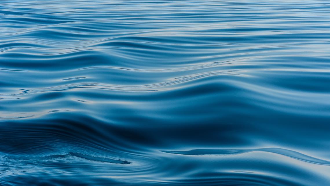 Car with shut windows and doors, no one inside found submerged in Lake Washington