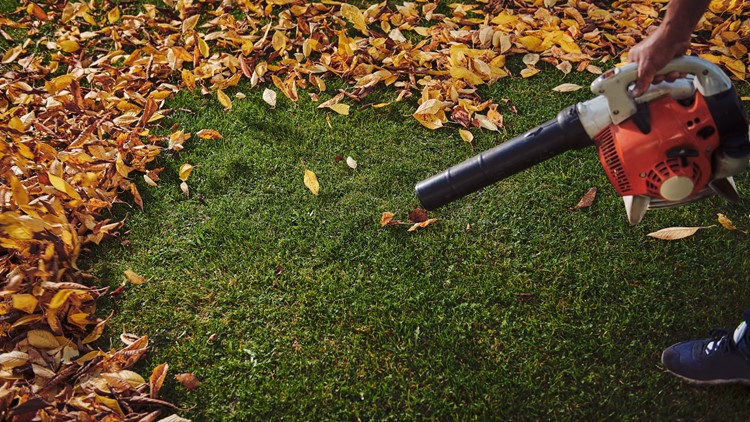 Gas-powered leaf blowers to begin being phased out in Seattle