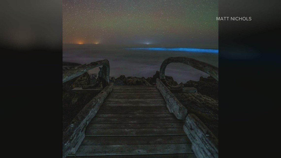 Bioluminescent phenomenon happening off Washington coast