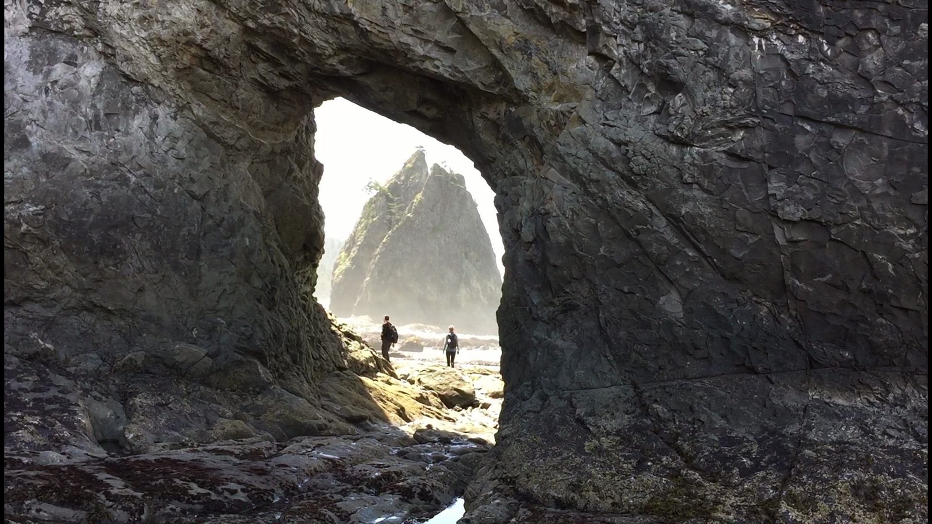 This iconic northwest spot welcomes visitors again as Olympic National Park begins re-opening. #k5evening