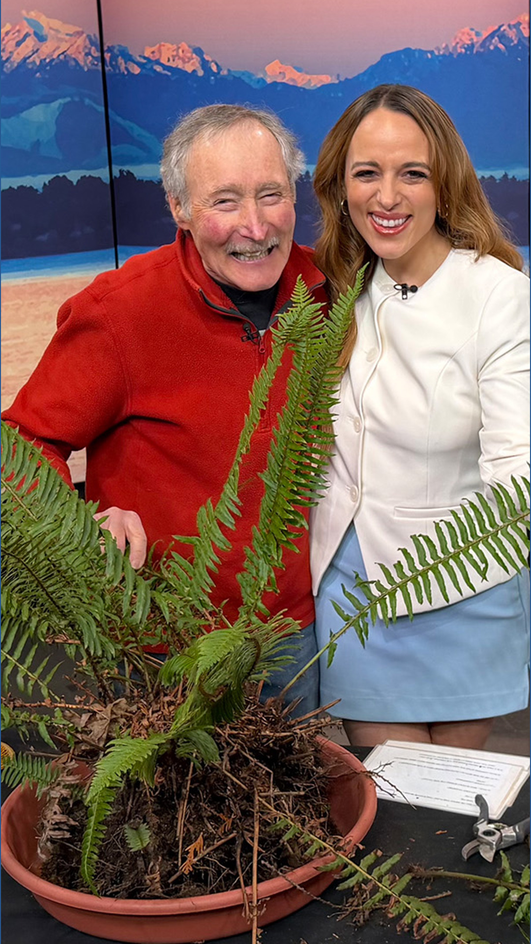 Give your fern a glow-up with these pruning tips - New Day NW | king5.com