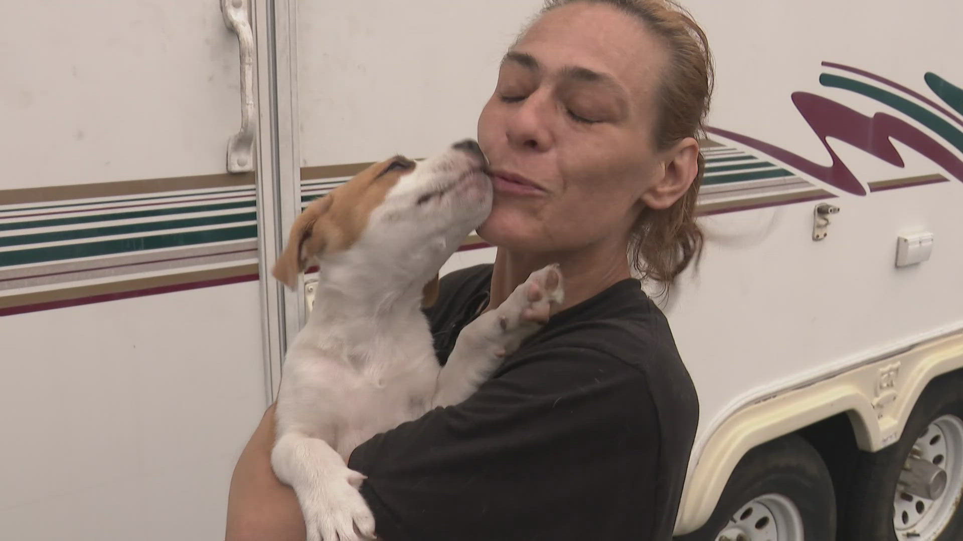 The victim describes the rocks thrown at her trailer as only the latest in a long line of attempts on her safety. 
