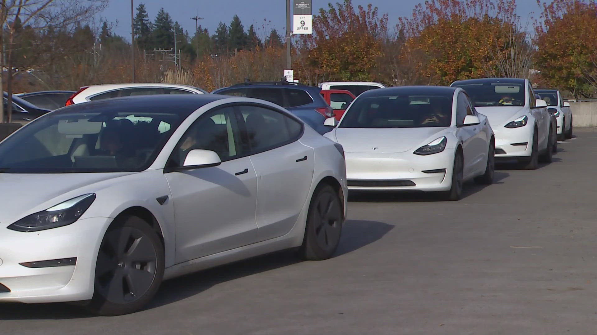 Electric vehicle owners waited in long lines to charge their cars after a windstorm knocked out power for hundreds of thousands of people.