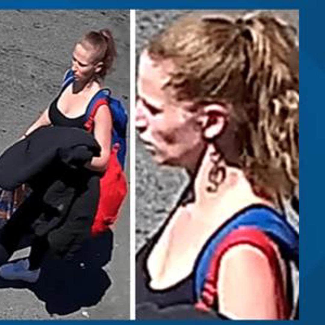 Seattle police seek help to ID 'person of interest' in deadly SODO ...